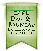 EARL Dru & Bruneau